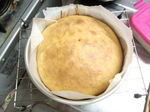 IMG_20140903_193253.jpg